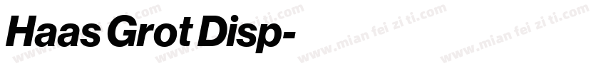 Haas Grot Disp字体转换